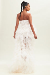 Tulle Mesh Dress