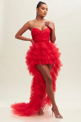 Tulle Mesh Dress