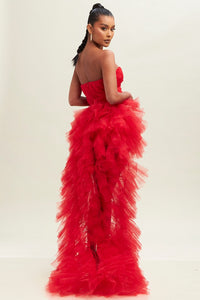Tulle Mesh Dress