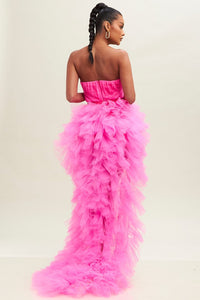Tulle Mesh Dress