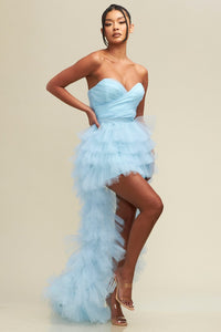 Tulle Mesh Dress - Pink Canary