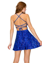 Load image into Gallery viewer, Veloa Mini